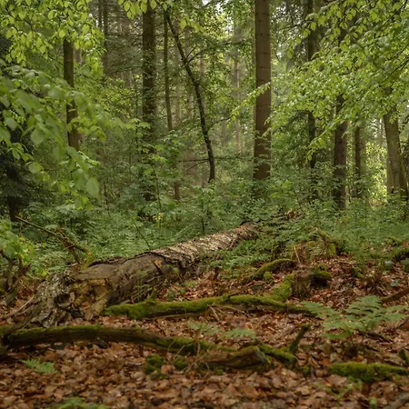 Klostermuehle 3* Groß Meckelsen