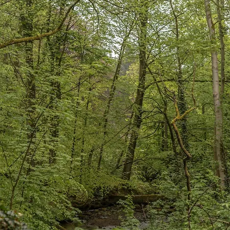 Klostermuehle 3*