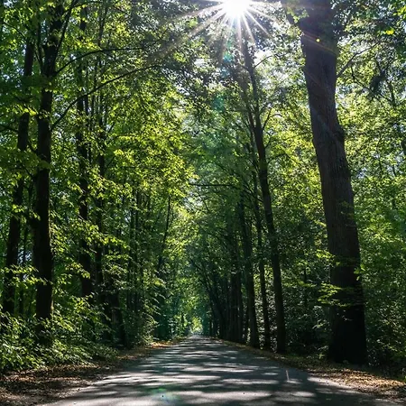 호텔 Zur Kloster-muehle