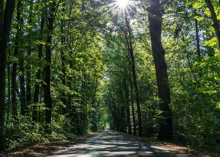 Hotel Zur Kloster-muehle
